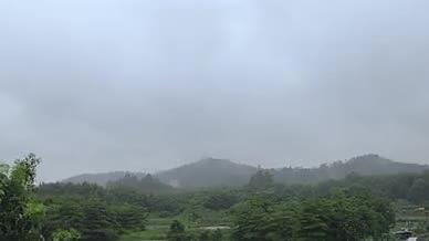 森林雨雾实拍暴雨雨水4K实拍视频视频的预览图